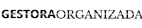 gestoraorganizada.com
